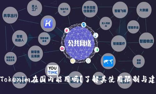 : Tokenim在国内能用吗?了解其使用限制与建议