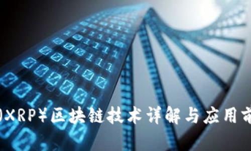 瑞波币(XRP)区块链技术详解与应用前景分析