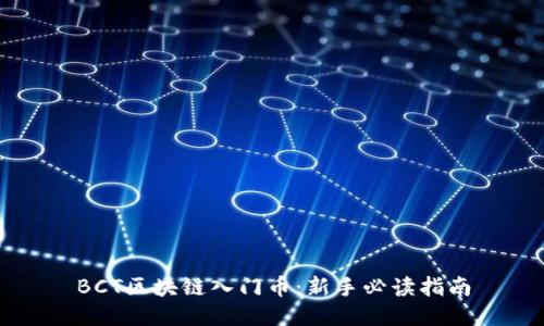 BCT区块链入门币:新手必读指南