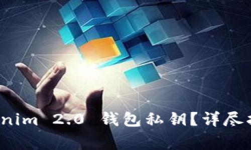 如何查询 Tokenim 2.0 钱包私钥?详尽指南及注意事项