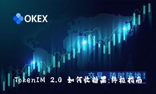 TokenIM 2.0 如何收糖果:终极指南