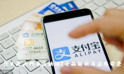 什么是大网币区块链?全面解析与应用前景
