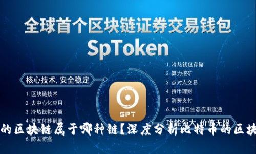 比特币的区块链属于哪种链?深度分析比特币的区块链结构