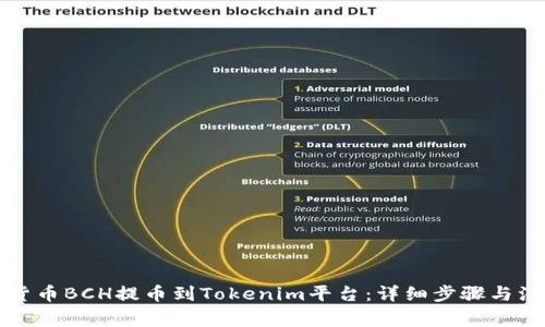 如何将货币BCH提币到Tokenim平台:详细步骤与注意事项