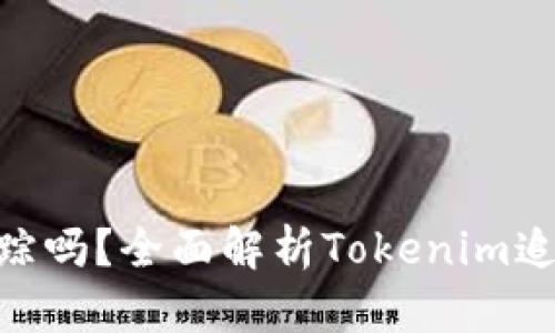 Tokenim能追踪吗?全面解析Tokenim追踪机制与应用