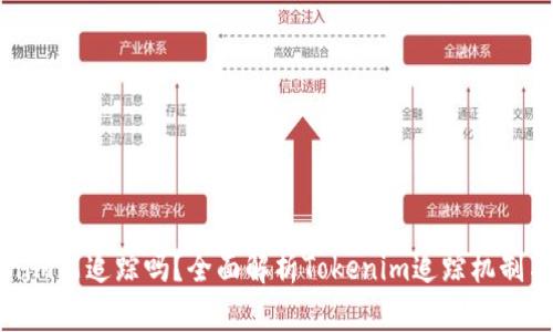 Tokenim能追踪吗?全面解析Tokenim追踪机制与应用