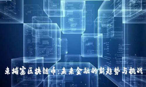柬埔寨区块链币:未来金融的新趋势与挑战
