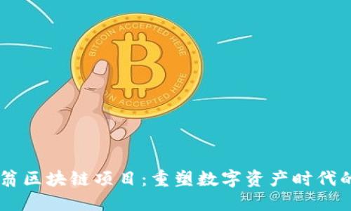 币码翁区块链项目:重塑数字资产时代的未来