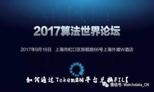 如何通过TokenIM平台兑换FIL?