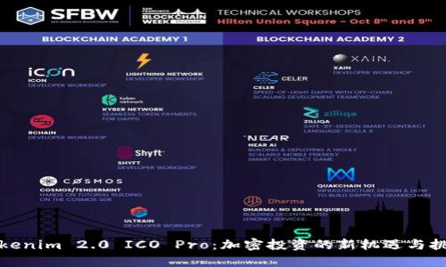 Tokenim 2.0 ICO Pro:加密投资的新机遇与挑战