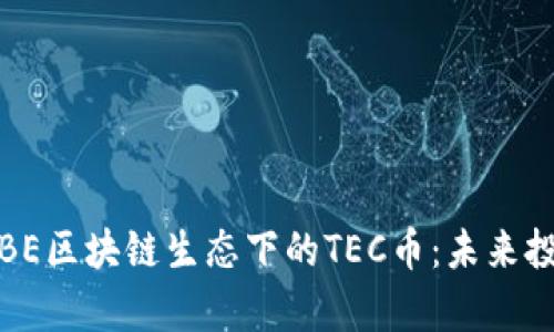全面解析BE区块链生态下的TEC币:未来投资新选择