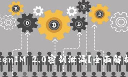 如何防止TokenIM 2.0密钥泄漏?全面解析与解决方案