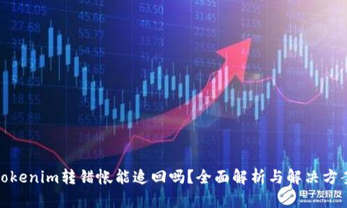 Tokenim转错帐能追回吗?全面解析与解决方案
