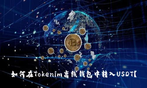 如何在Tokenim离线钱包中转入USDT?