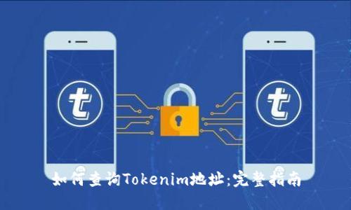 如何查询Tokenim地址:完整指南