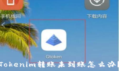 Tokenim转账未到账怎么办?