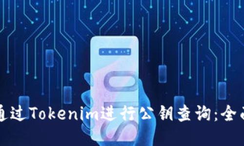如何通过Tokenim进行公钥查询:全面指南