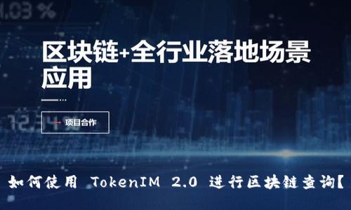 如何使用 TokenIM 2.0 进行区块链查询?