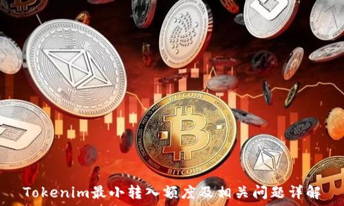 Tokenim最小转入额度及相关问题详解