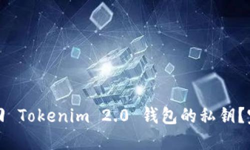 如何找回 Tokenim 2.0 钱包的私钥?完整指南