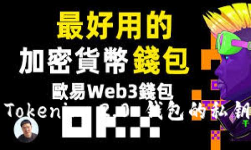 如何找回 Tokenim 2.0 钱包的私钥?完整指南