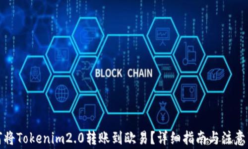 如何将Tokenim2.0转账到欧易?详细指南与注意事项