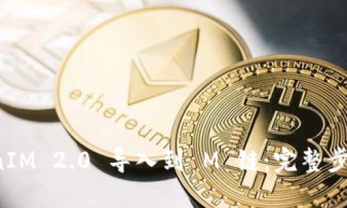 如何将 TokenIM 2.0 导入到 M 链:完整步骤与实用指南
