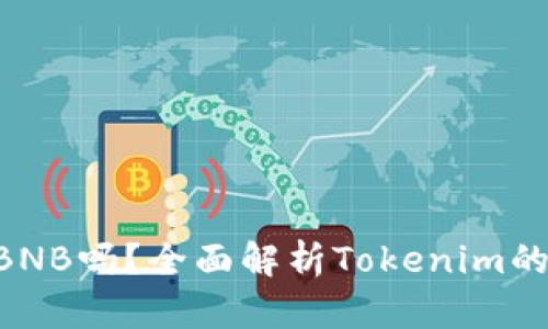 Tokenim支持BNB吗?全面解析Tokenim的多币种兼容性