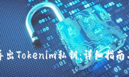 如何安全导出Tokenim私钥:详细指南与注意事项