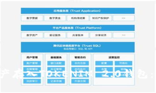 如何将FIL资产存入TOKENIM 2.0钱包:详细操作指南