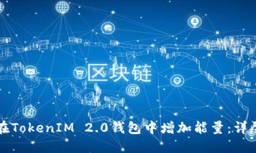如何在TokenIM 2.0钱包中增加能量:详尽指南
