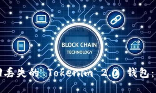 如何找回丢失的 Tokenim 2.0 钱包:详细指南
