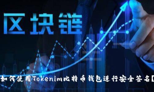 如何使用Tokenim比特币钱包进行安全签名?