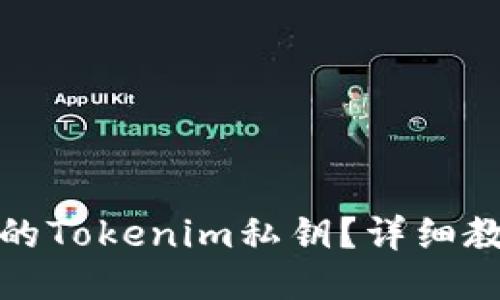 如何找回丢失的Tokenim私钥?详细教程与应对策略