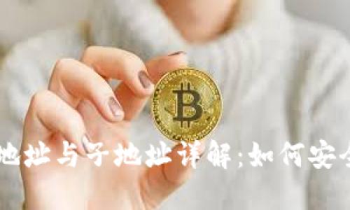 TokenIM BTC主地址与子地址详解:如何安全管理你的比特币