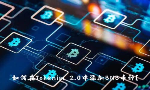 如何在Tokenim 2.0中添加BNB币种?