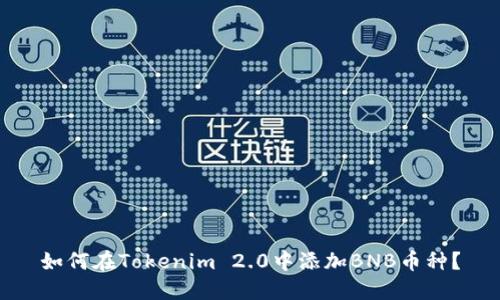 如何在Tokenim 2.0中添加BNB币种?