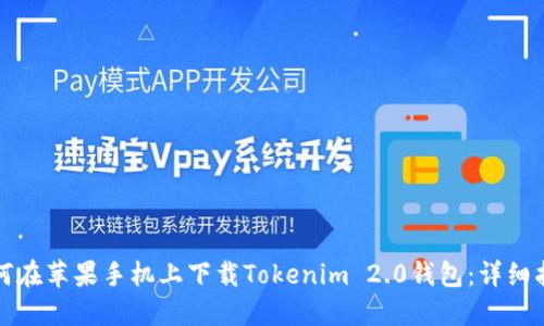 如何在苹果手机上下载Tokenim 2.0钱包:详细指南