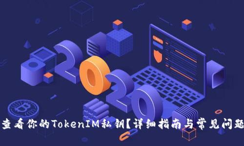 如何查看你的TokenIM私钥?详细指南与常见问题解答