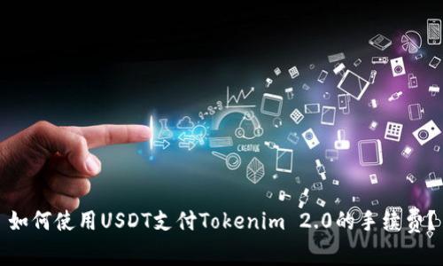 如何使用USDT支付Tokenim 2.0的手续费?