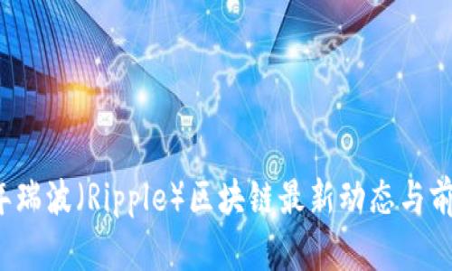 2023年瑞波(Ripple)区块链最新动态与前景分析