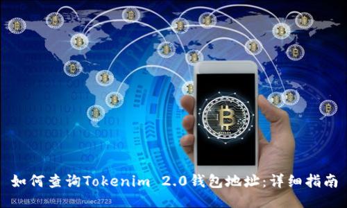 如何查询Tokenim 2.0钱包地址:详细指南
