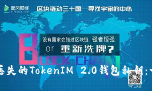 如何找回丢失的TokenIM 2.0钱包私钥:一步步指南