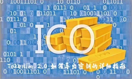 Tokenim 2.0:如何导出密钥的详细指南