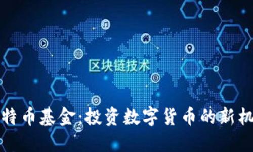 区块链比特币基金:投资数字货币的新机遇与风险