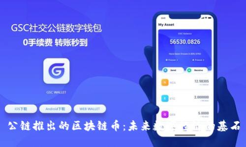 公链推出的区块链币:未来数字经济的基石
