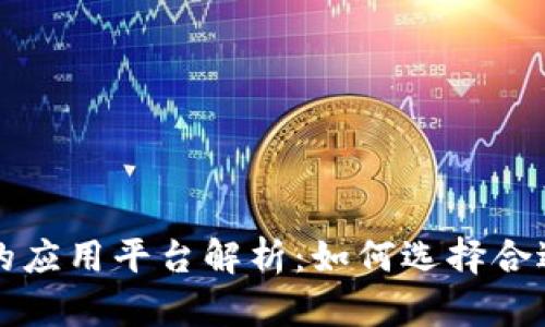 区块链最新最快的应用平台解析:如何选择合适的开发解决方案