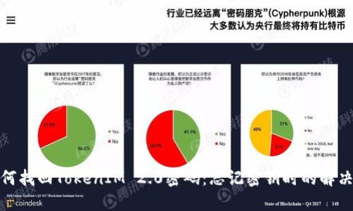: 如何找回TokenIM 2.0密码:忘记密钥时的解决方案
