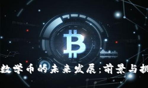 区块链数学币的未来发展:前景与挑战解析