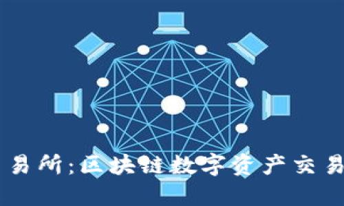 币池交易所:区块链数字资产交易的未来